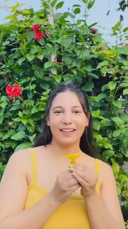 Jumbo Size Polka Dot hair Scrunchie with lace trim 8 inch